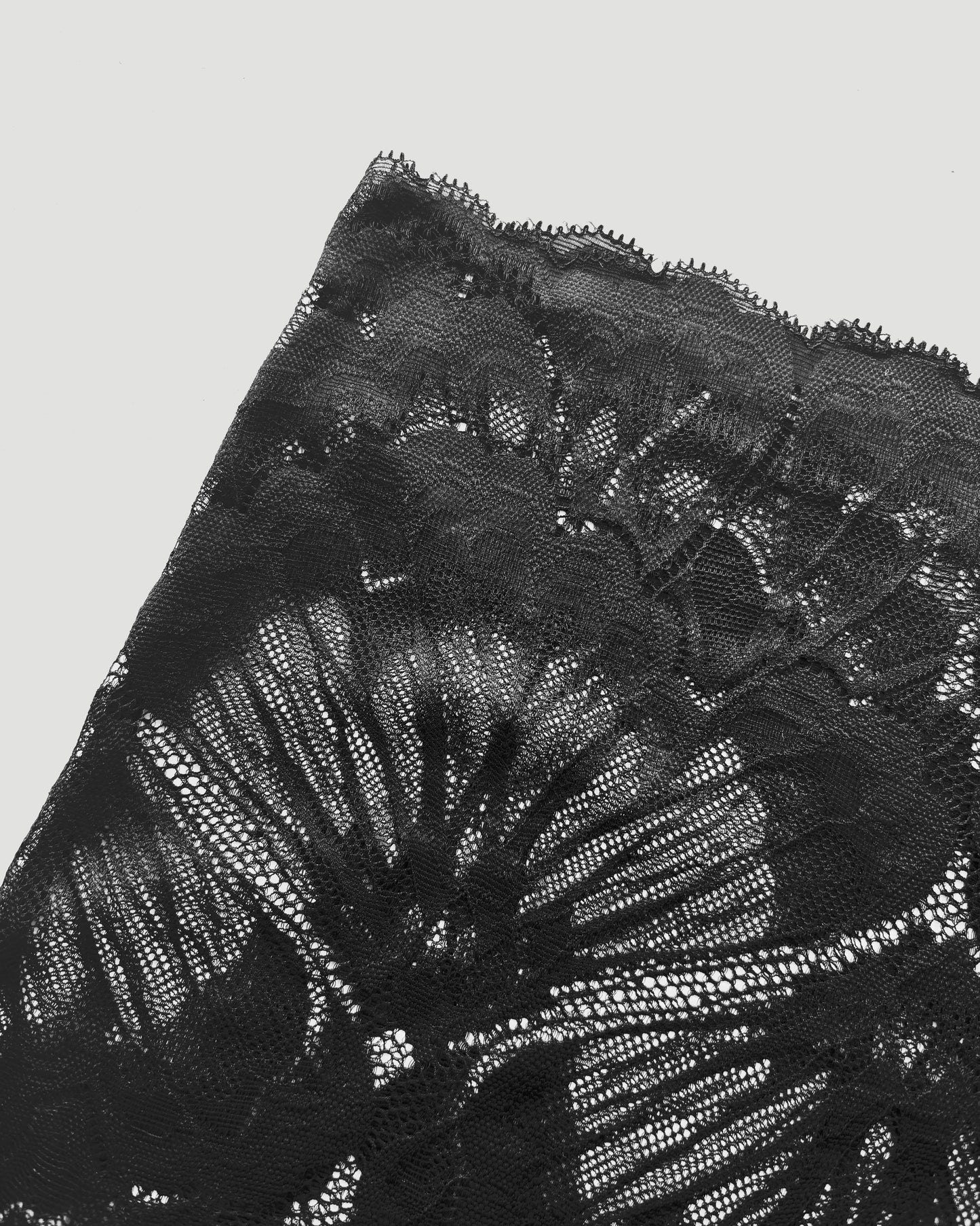 Sheer Black Floral Lace Shorts